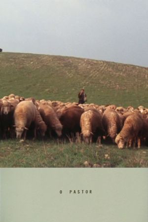 The Shepherd's poster