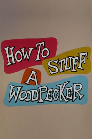 How to Stuff a Woodpecker's poster