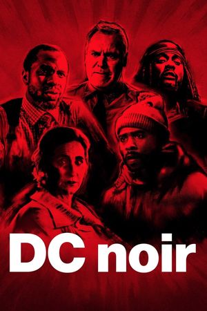 DC Noir's poster