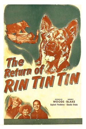 The Return of Rin Tin Tin's poster image