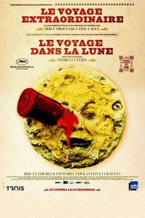 The Extraordinary Voyage's poster