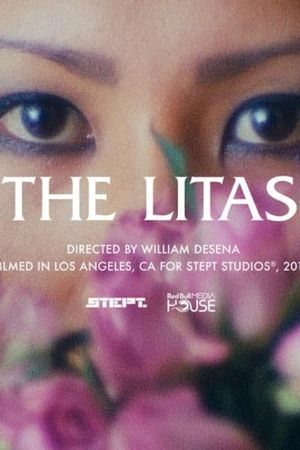 The Litas's poster