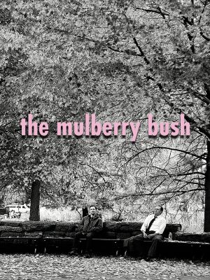 The Mulberry Bush's poster