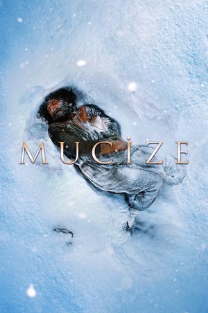 The Miracle's poster
