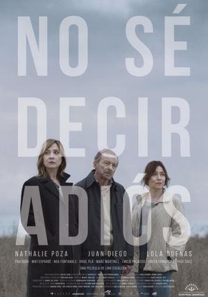 Can't Say Goodbye's poster