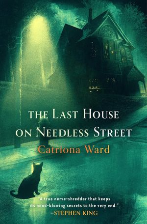 The Last House on Needless Street's poster