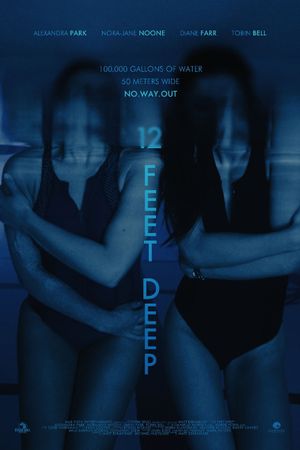 12 Feet Deep's poster