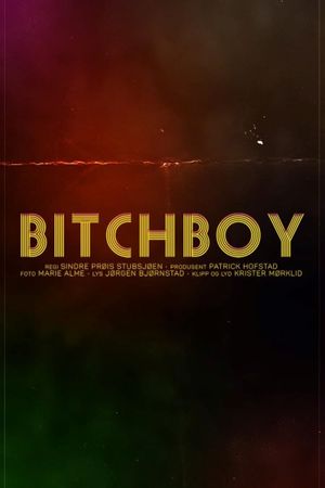 Bitchboy's poster