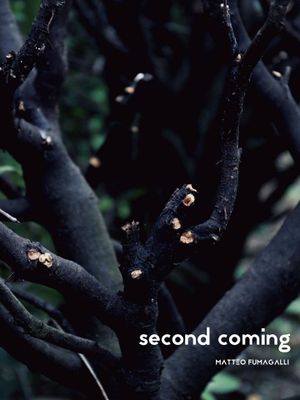 Second coming's poster