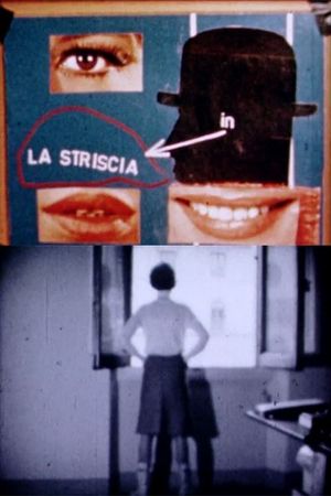 La striscia's poster