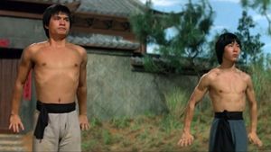 The New Shaolin Boxers's poster