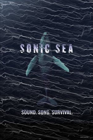 Sonic Sea's poster