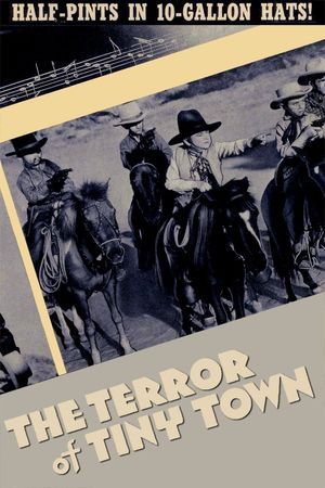 The Terror of Tiny Town's poster