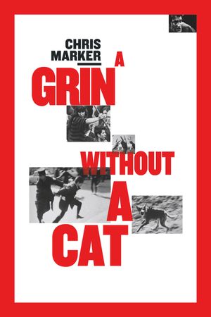 A Grin Without A Cat's poster