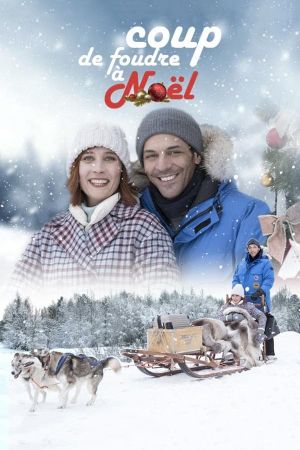 Love in Lapland's poster image