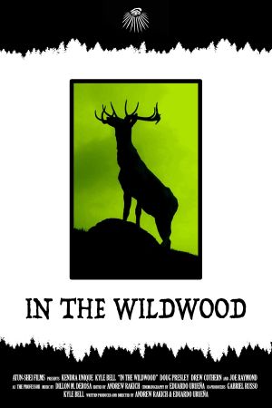 In the Wildwood's poster image