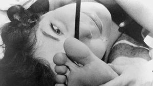 Diary of a Pregnant Woman's poster