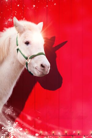 A Unicorn for Christmas's poster