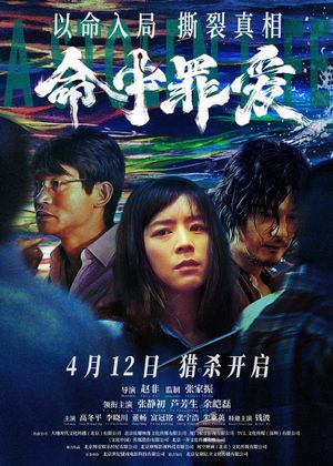 A Stolen Life's poster