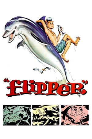 Flipper's poster