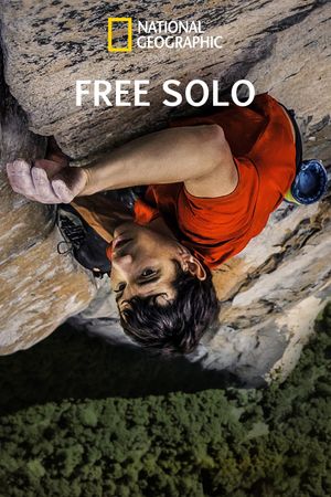 Free Solo's poster