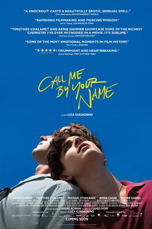 Call Me by Your Name's poster