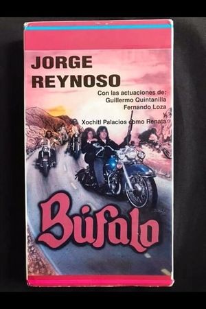 Bufalo's poster