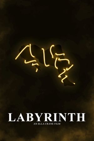 Labyrinth's poster