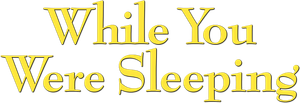 While You Were Sleeping's poster