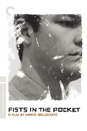 Fists in the Pocket's poster
