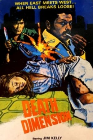 Death Dimension's poster