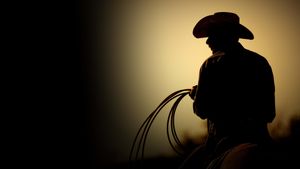 The Last Rodeo's poster