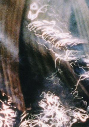 A Darkness Swallowed's poster