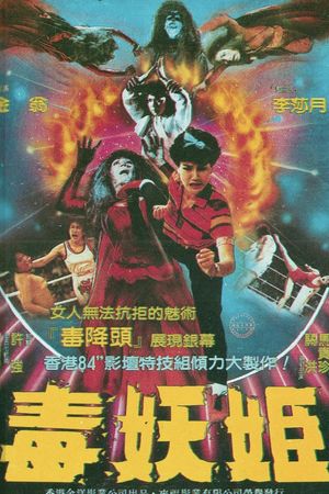 Lady Boxer's poster