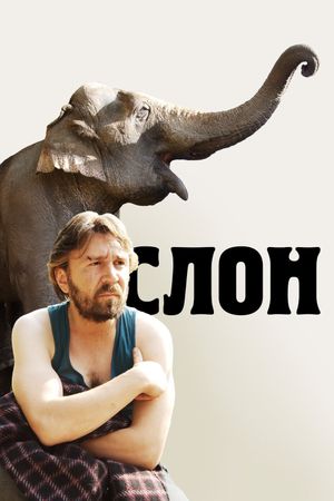 Slon's poster