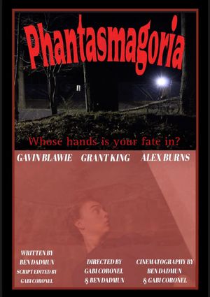 Phantasmagoria's poster