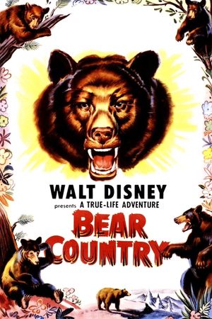 Bear Country's poster