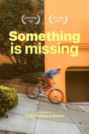 Something is missing's poster