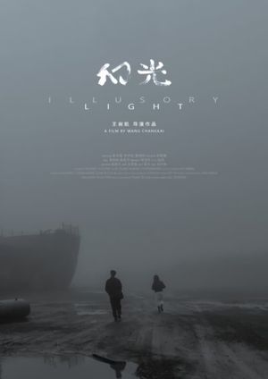 Illusory Light's poster