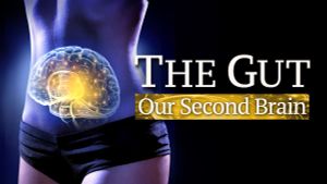 The Gut: Our Second Brain's poster