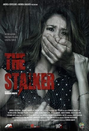 The Stalker's poster
