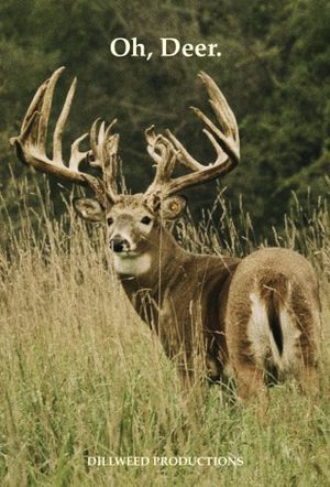 Oh, Deer.'s poster