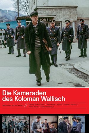 Die Kameraden des Koloman Wallisch's poster