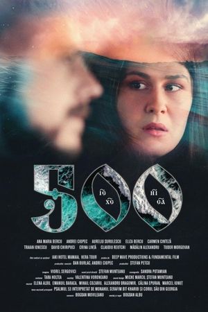 500's poster