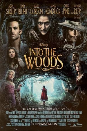 Into the Woods's poster