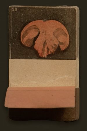 A Serpentine Dance's poster