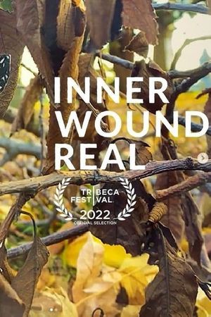 Inner Wound Real's poster image