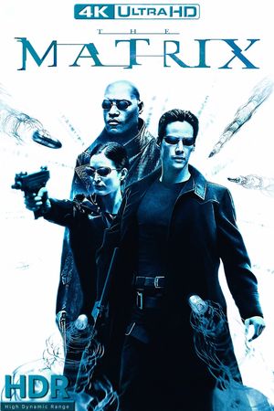 The Matrix's poster