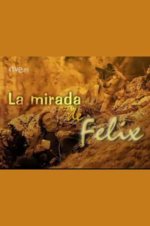 La mirada de Félix's poster