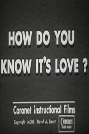 How Do You Know It's Love?'s poster